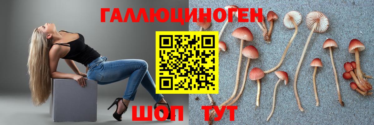 Галлюциногенные грибы Magic Shrooms  Псилоцибиновые грибы прущие грибы  Шатура 