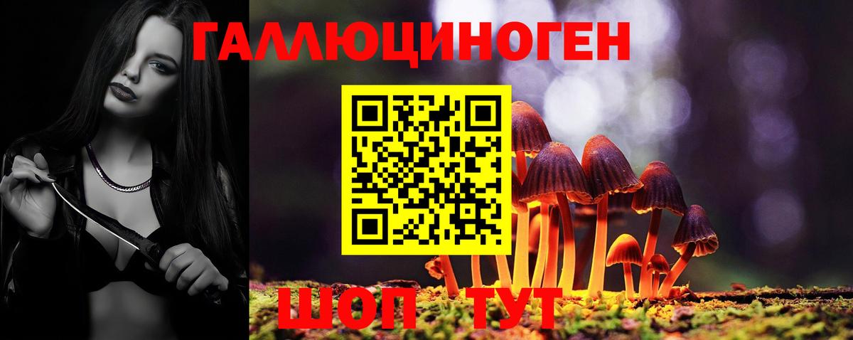 Псилоцибиновые грибы мухоморы  Вход с VPN  Шатура 